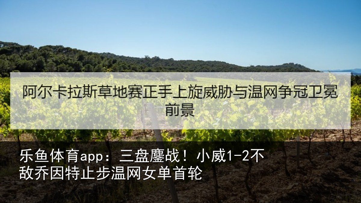 乐鱼体育app:三盘相关情况特止步温网女单首轮