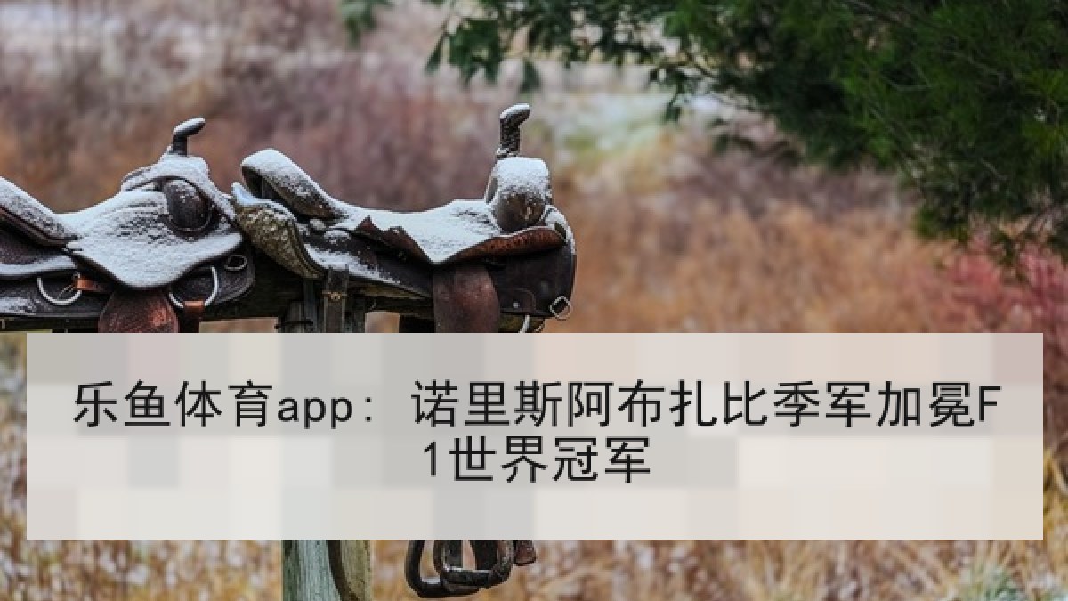 乐鱼体育app: 诺里斯阿布扎比季军加冕F1世界冠军