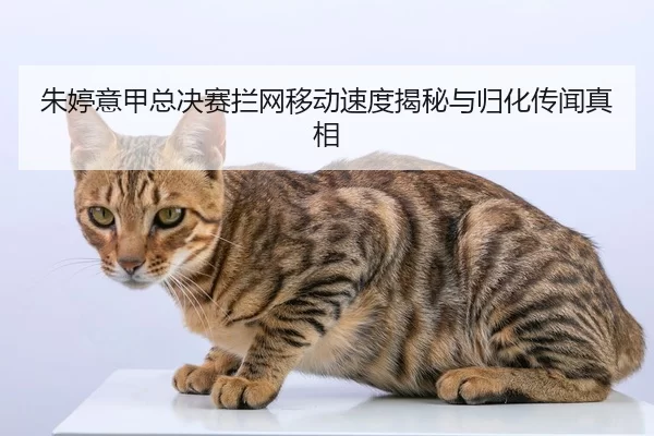 zhu-ting-yi-jia-zong-jue-sai-lan-wang-yi-dong-su-du-jie-mi-yu-gui-hua-chuan-wen-zhen-xiang-2-862.jpg