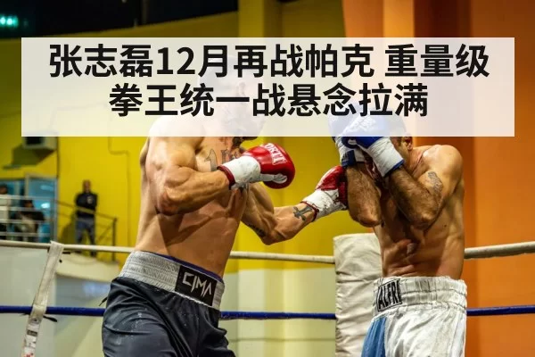 heavyweight boxing match